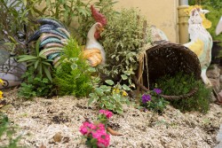 Jardin - Le Coq à Juliénas