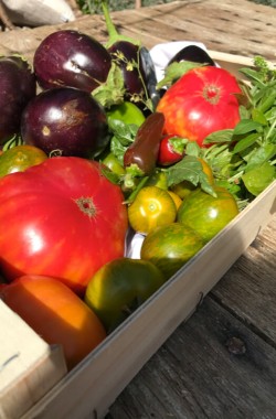Légumes