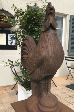 Statut de Coq