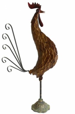Statut de Coq
