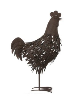 Statut de Coq