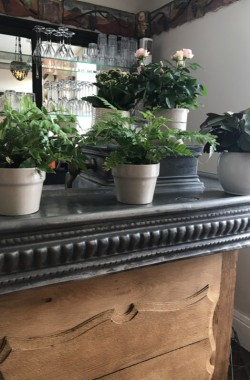 Plantes restaurant