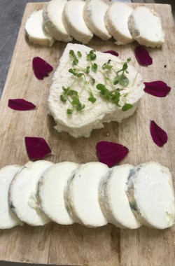 Fromage de chèvre