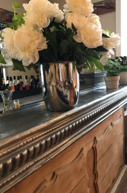 Plantes restaurant